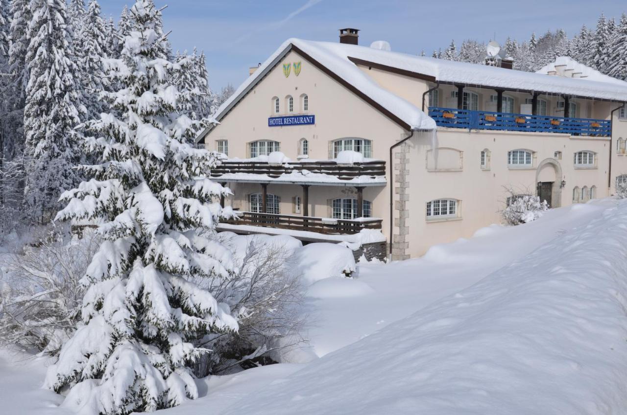 Hotel Aux Truites Bleues Fort-du-Plasne Exterior foto